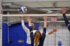 Volleyball vs RWU  Wheaton Women’s Volleyball vs Roger Williams University. : Volleyball, VB